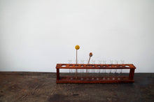 Load image into Gallery viewer, Vintage Wooden School Test Tube Rack