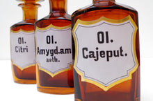 Load image into Gallery viewer, Set of Three 19th Century Apothecary Bottles