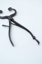 Load image into Gallery viewer, R. Timmins & Sons Sugar Nippers Early 1800's
