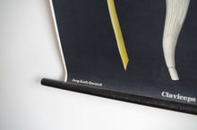 Load image into Gallery viewer, 1960's Jung-Koch-Quentell German Educational Chart - Claviceps Purpurea 'Ergot' No.4