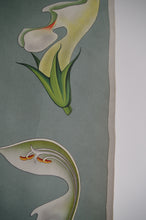 Load image into Gallery viewer, 1962 Jung-Koch-Quentell German Educational Chart - Weibe Taubressel 'Nettle'