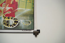 Load image into Gallery viewer, 1960&#39;s French &#39;Oge-Hachette&#39; Double-Sided Educational Poster No. 26 &amp; 31
