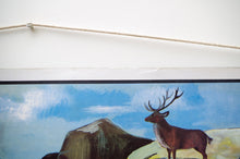 Load image into Gallery viewer, 1960&#39;s French &#39;Oge-Hachette&#39; Double-Sided Educational Poster No. 30 &amp; 25
