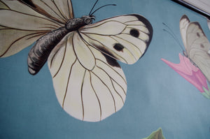 1962 Jung-Koch-Quentell German Educational Chart - Pieris Brassicae No.30